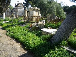 CIMETIERE DE TAMAZOUHET D ORAN EN MARS 2012  (118)
